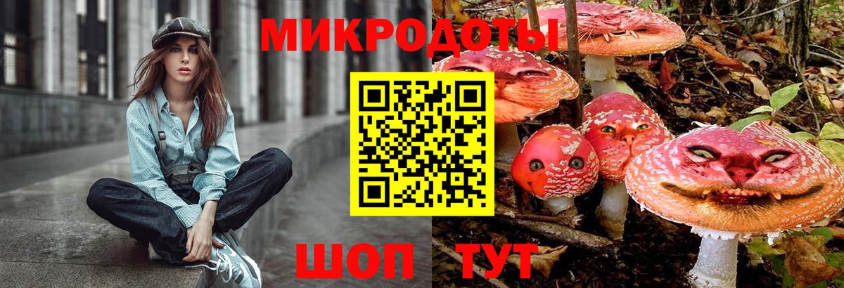 Елабуга  Галлюциногенные грибы прущие грибы  Вход с VPN 