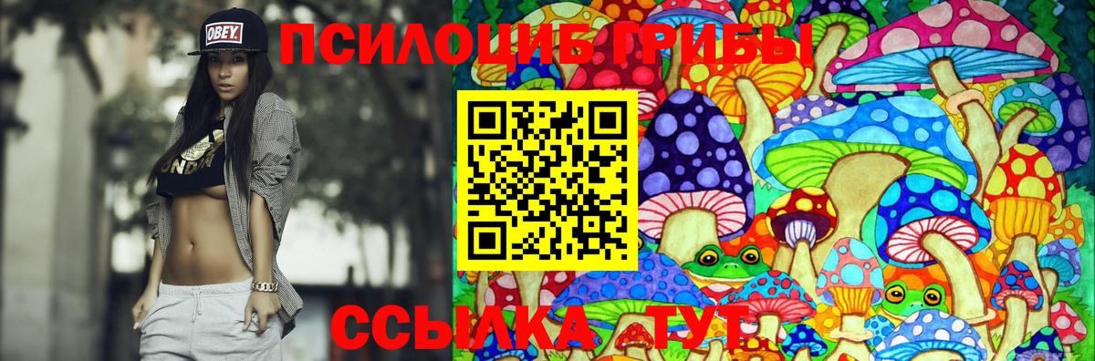 Галлюциногенные грибы мицелий Елабуга